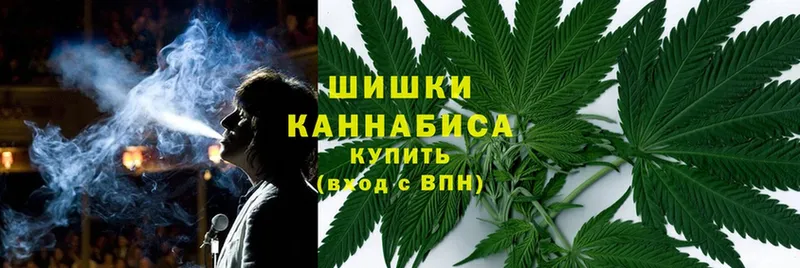 Марихуана SATIVA & INDICA  Отрадное 